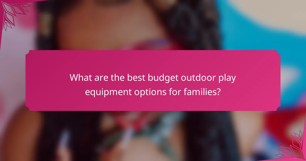 What are the best budget outdoor play equipment options for families?