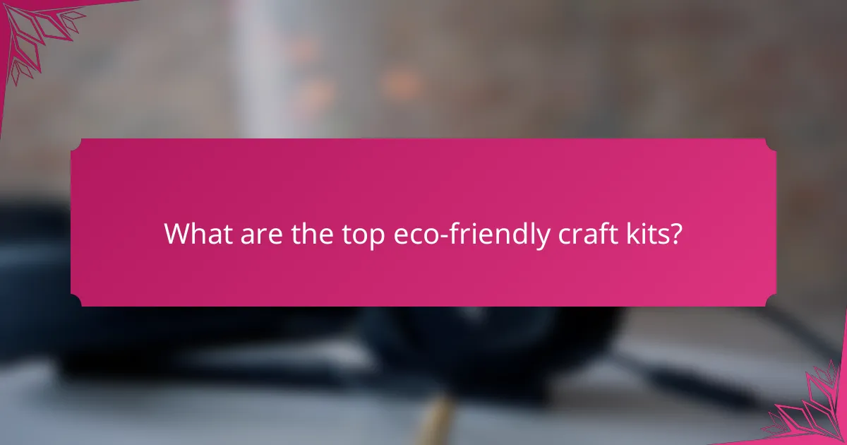 What are the top eco-friendly craft kits?